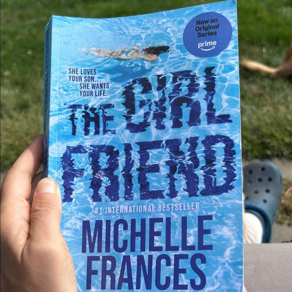 The Girlfriend by Michelle Frances Book